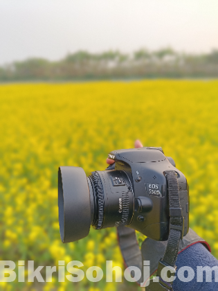 Canon 550d & 50mm prime lense